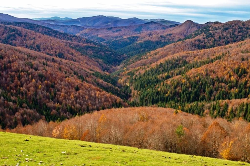 Casa Rural Casa Julito Barásoain Dış mekan fotoğraf